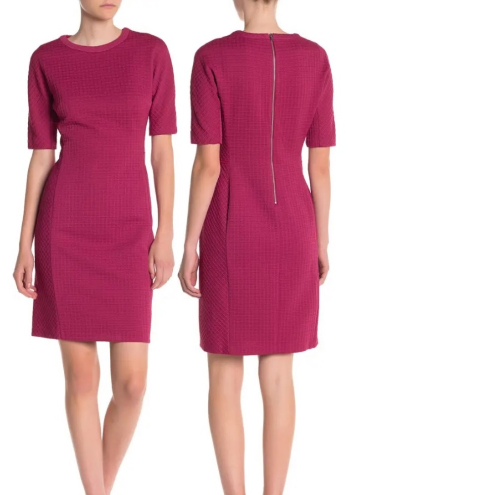 Maggy London Pink Textured Dress